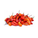 African hot pepper