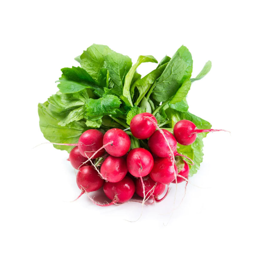 Radish Bunched Red