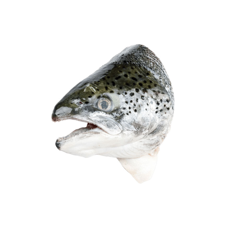 Salmon Fish Head