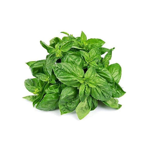 Basil leaf