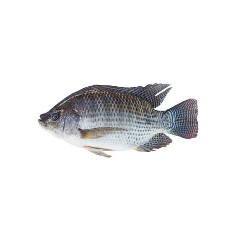 Cleaned tilapia - 2.49/lb