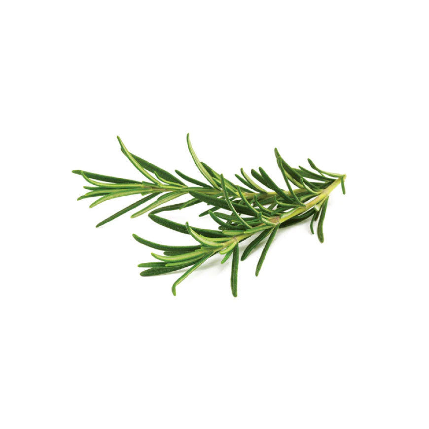 Rosemary