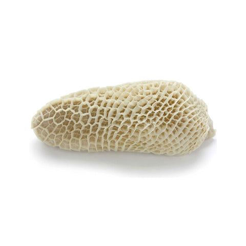 beef tripe - 2.49/lb